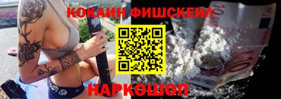 тгк Бийск