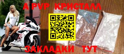 тгк Бийск